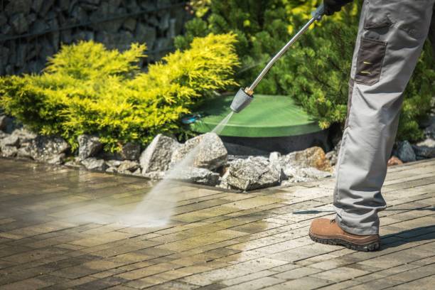 Best Spring Cleaning  in Waskom, TX